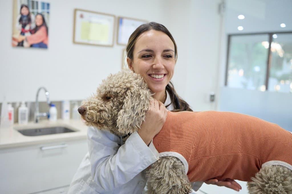 Veterinary professional holding a dog wearing a CopperBody recovery suit