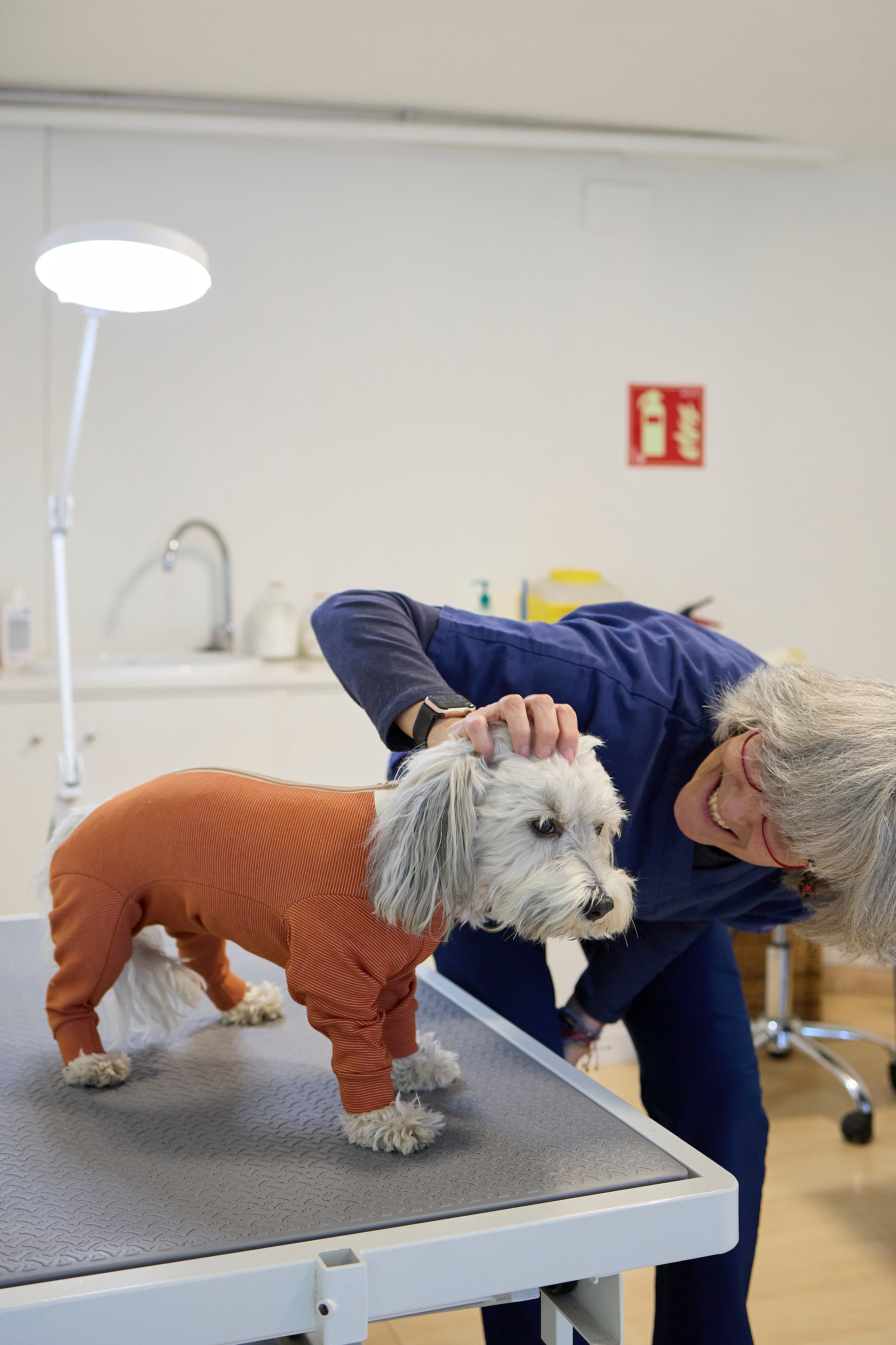Vet examining a dog in a CopperBody suit